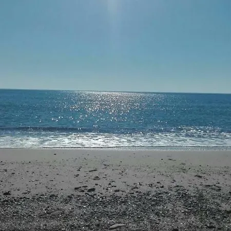 Apartamento Oliveres Iii